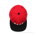 6 Panel dwa kolorowy czapkę sanpback z logo